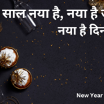 साल नया है, नया है जीवन