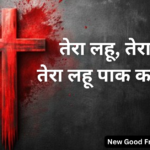 तेरा लहू पाक करता है
