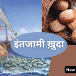 इंतजामी ख़ुदा